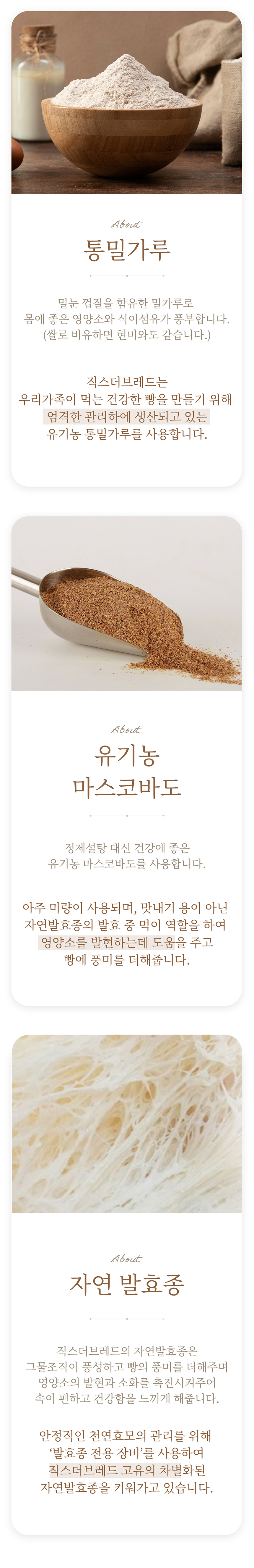 섹션10.jpg