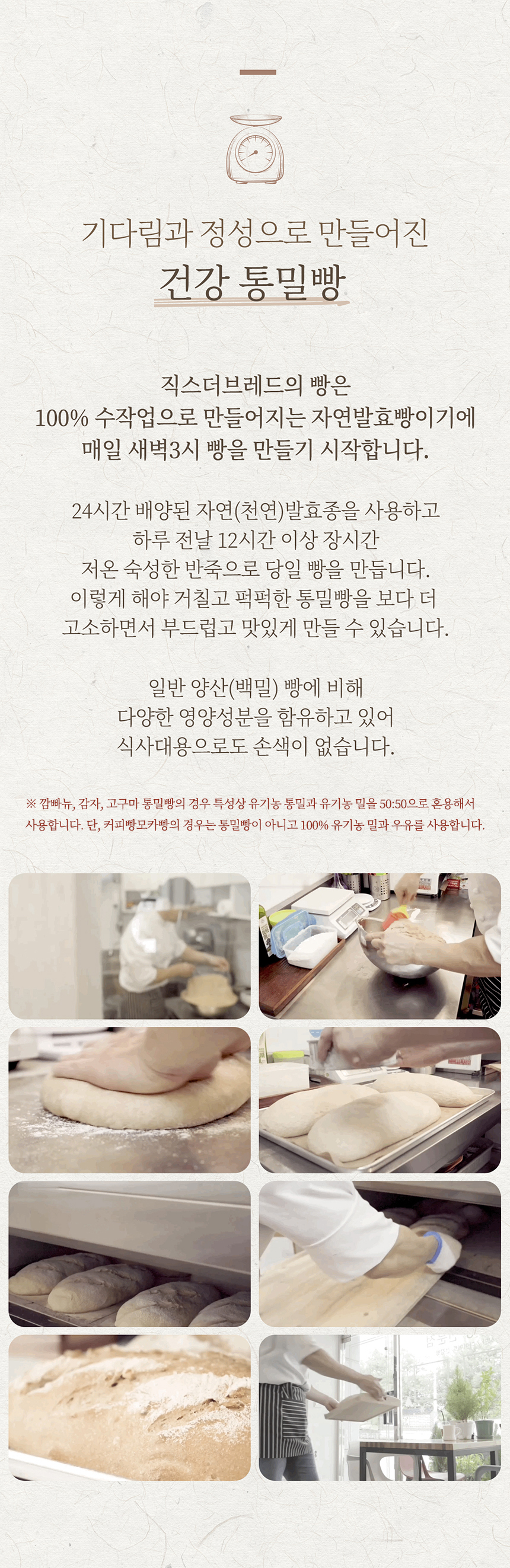 섹션11.jpg
