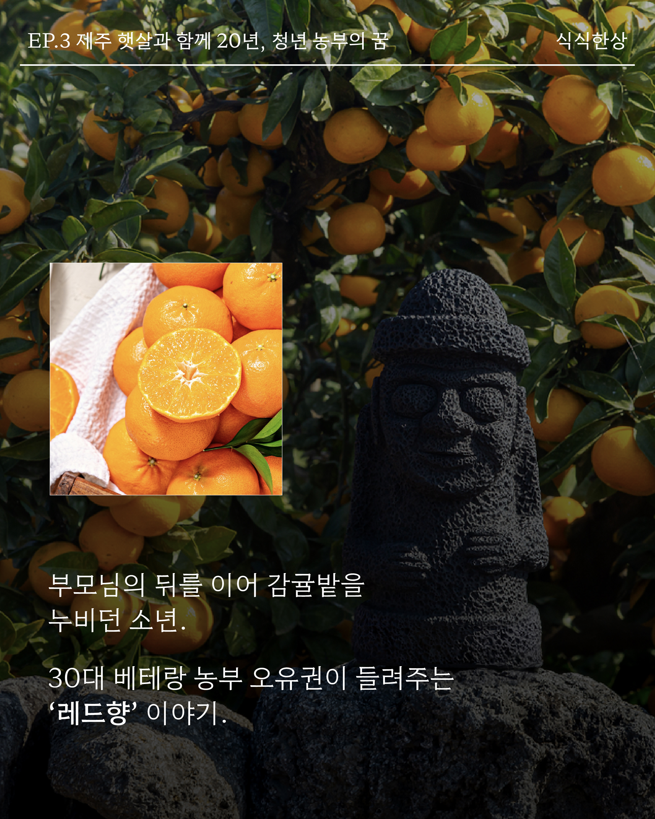 일반비_2.jpg