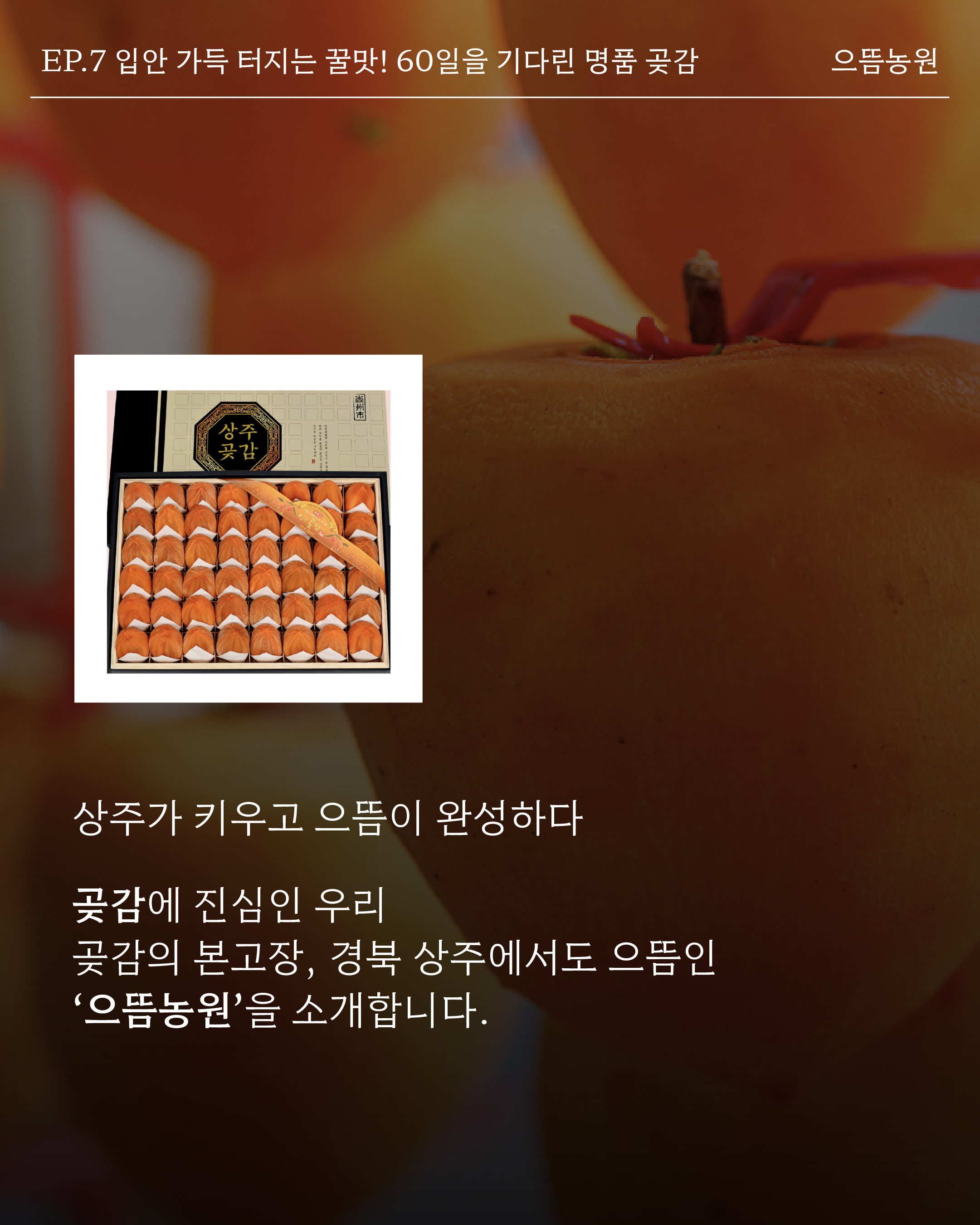 일반비_곶감 2.jpg