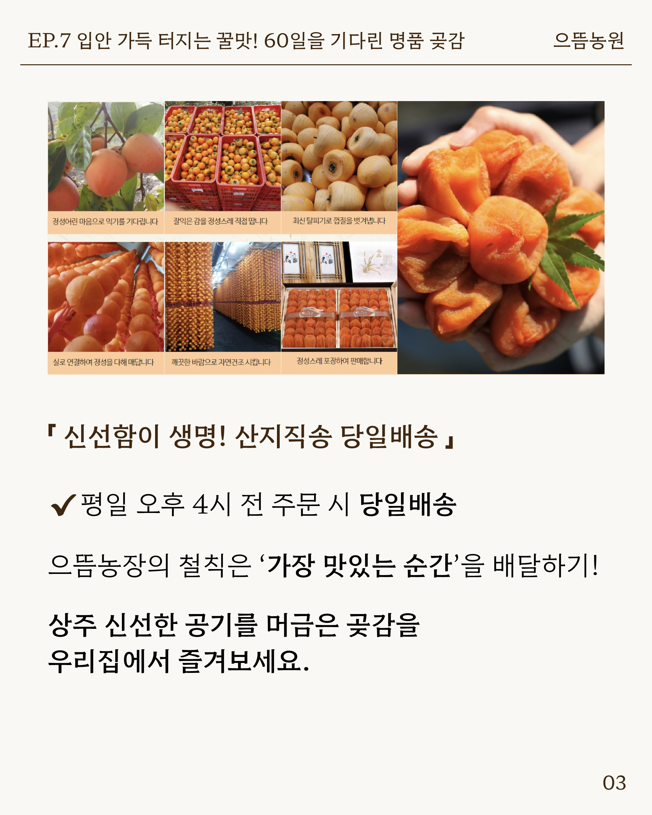 일반비_곶감 5.jpg