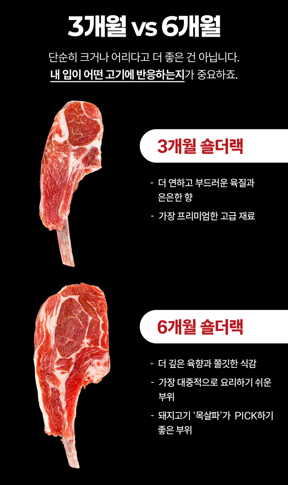 8-4 3vs6비교.png