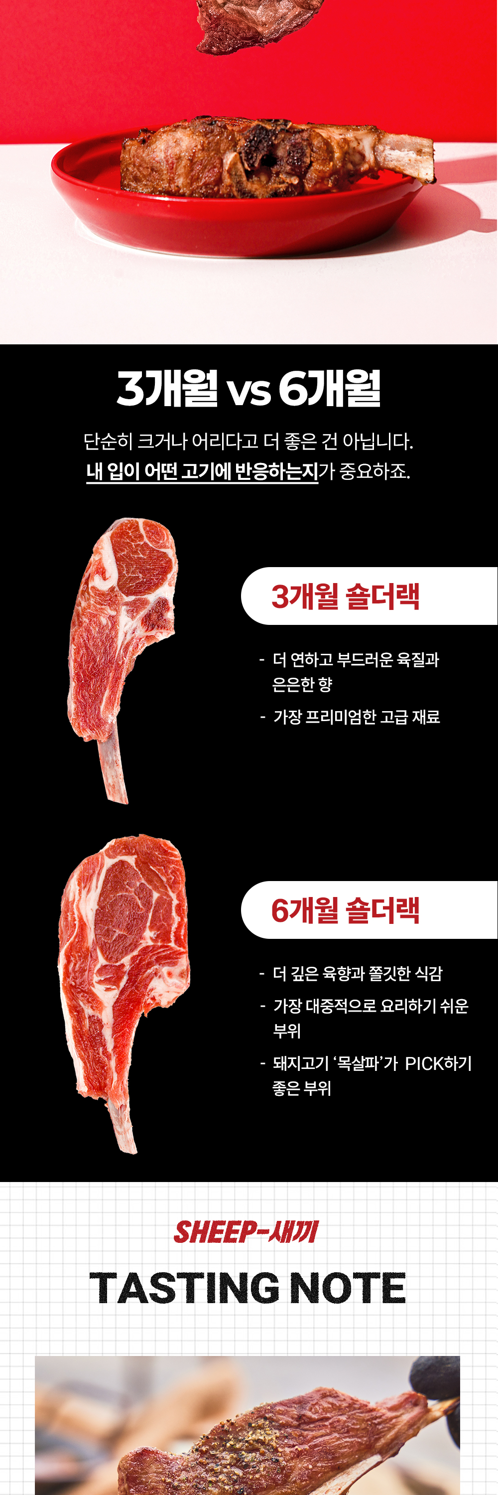 6개월-숄더랙_02.jpg