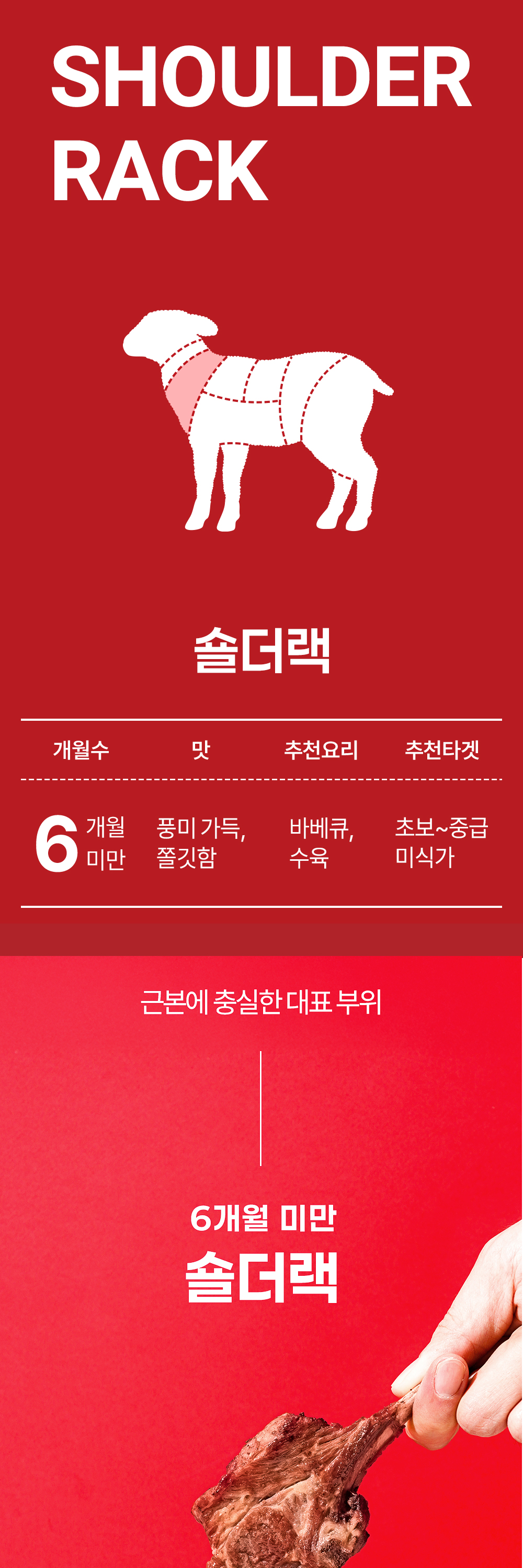 6개월-숄더랙_01.jpg